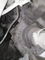 IMG_20190308_075420.jpg