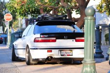DSC_0554.jpg