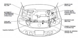 fluidos honda crv.jpg