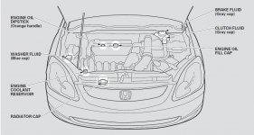 honda civic si 2005 fluidos.JPG