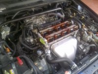 IMG-20120405-00150.jpg