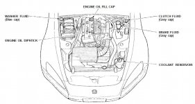 ubicacion fluidos s2000.JPG