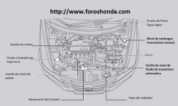 ubicacion de fluidos honda city 2010 - 2013.JPG