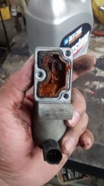 IMG_20170301_121834155.jpg