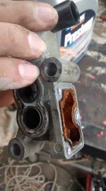 IMG_20170301_121842789.jpg